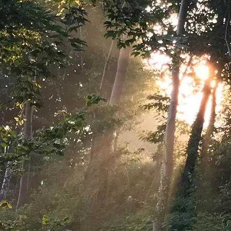 بيت للعطل Kompas Ellezelles