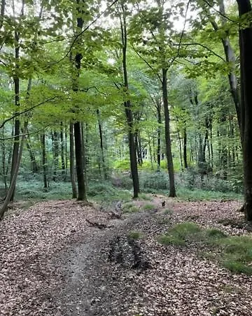 Groot Kompas Luxe Gite Met Wellness Faciliteiten בית נופש *