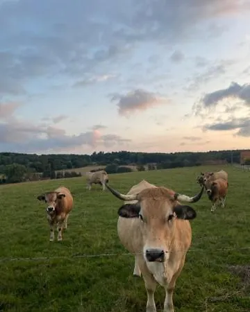 Дом отдыха Kompas *