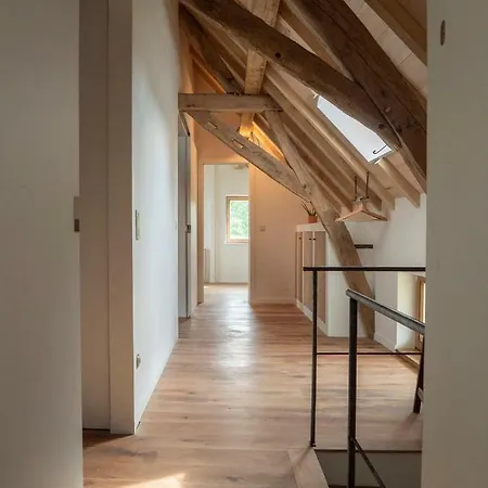 Groot Kompas Luxe Gite Met Wellness Faciliteiten