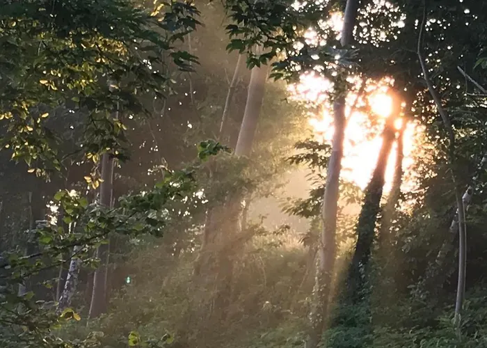 بيت للعطل Kompas Ellezelles