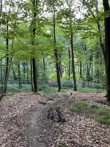 Kompas بيت للعطل *